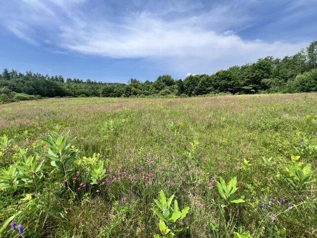 Land for sale in Bethel, Maine