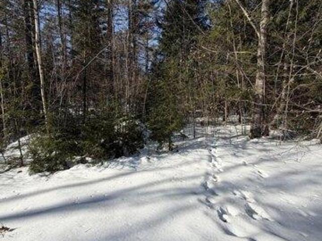 Land for sale in Bethel, Maine