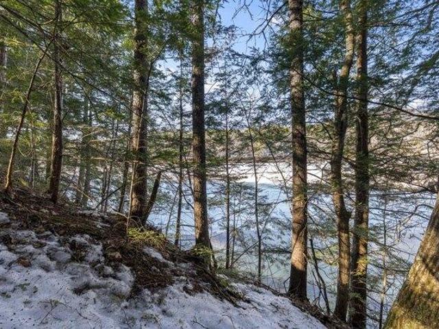 Land for sale in Bethel, Maine