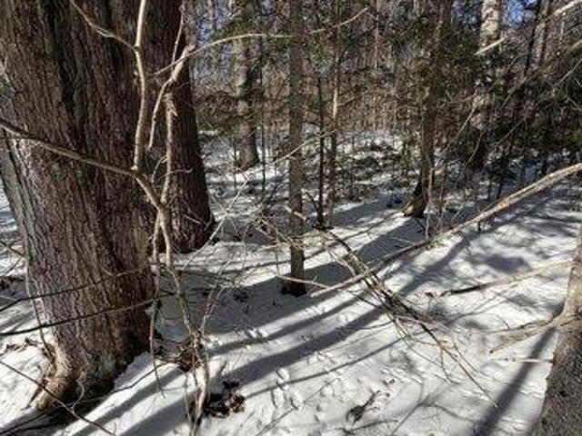 Land for sale in Bethel, Maine