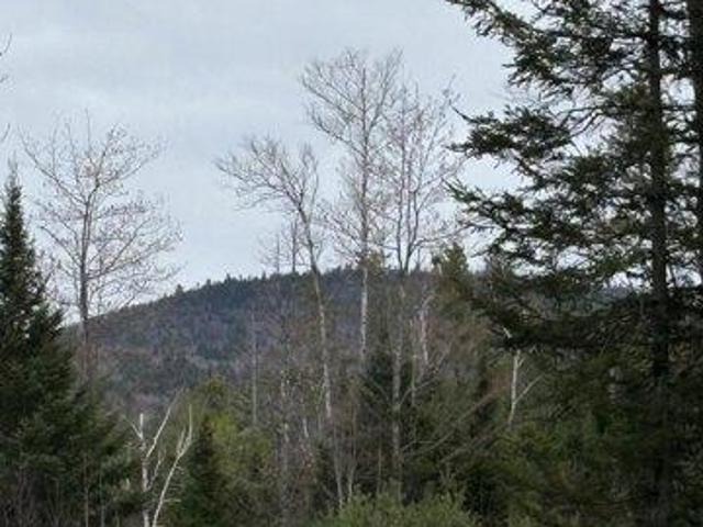 Land for sale in Bethel, Maine