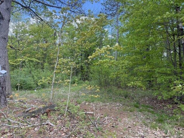 Land for sale in West Bethel, Bethel