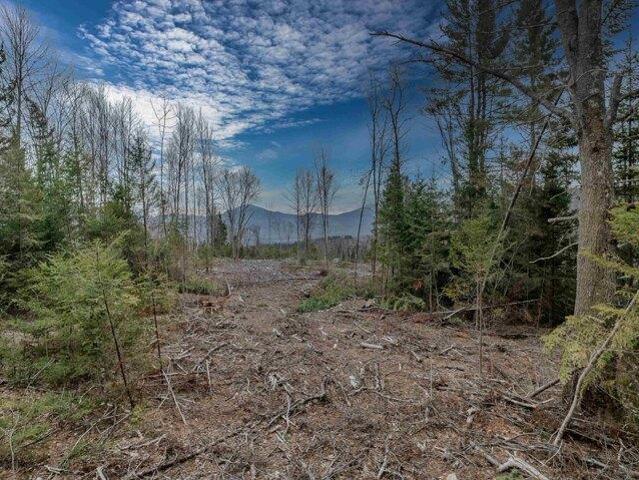 Land for sale in New Hampshire