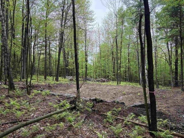 Land for sale in New Hampshire