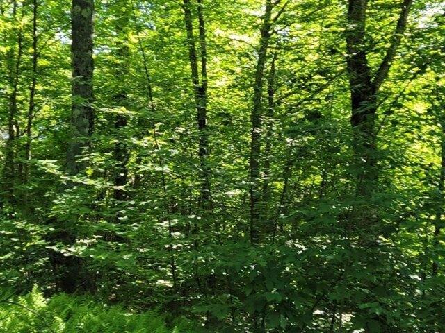 Land for sale in New Hampshire