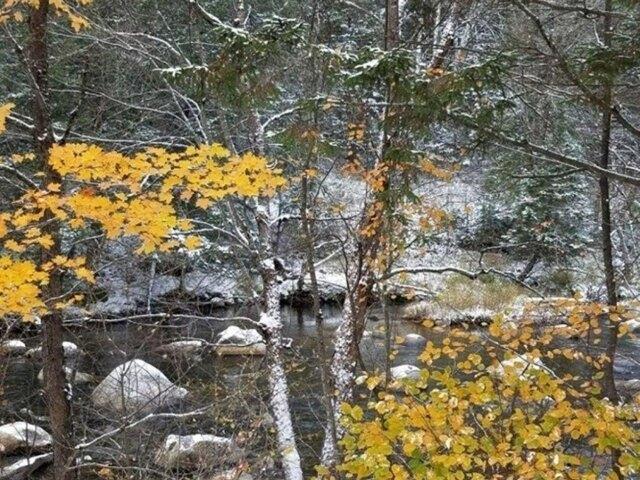 Land for sale in New Hampshire
