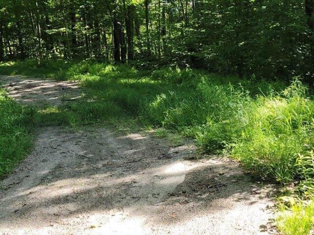 Land for sale in New Hampshire