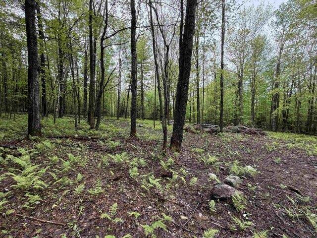 Land for sale in New Hampshire