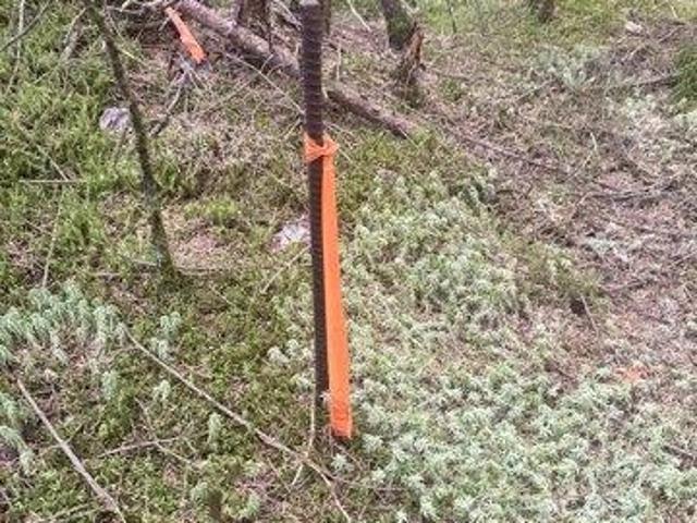 Land for sale in New Hampshire