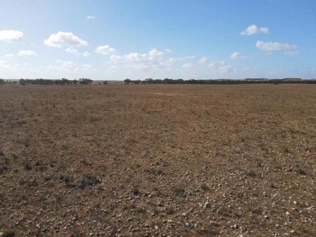 Land for sale in Black Hill, South Australia