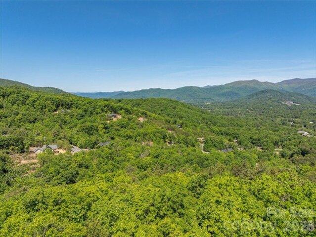Land for sale in Black Mountain, North Carolina