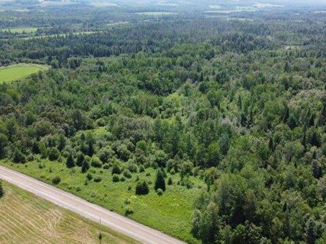 Land for sale in Blaine, Maine