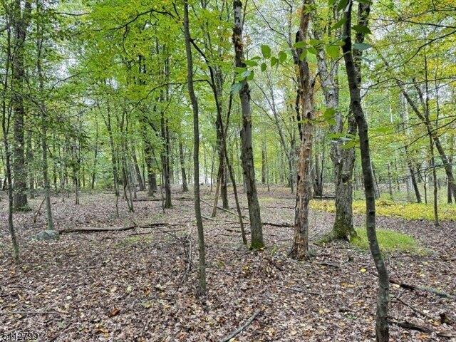 Land for sale in Blairstown, Warren County