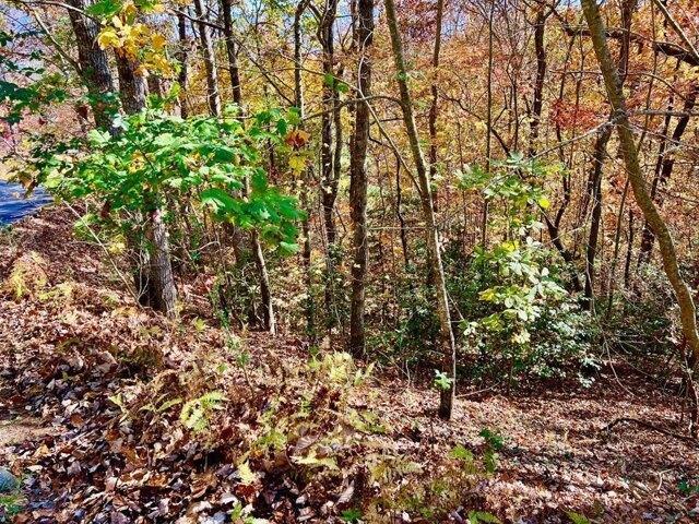 Land for sale in Blairsville, Georgia