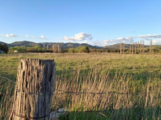 Land for sale in Blandford, Upper Hunter Shire Council