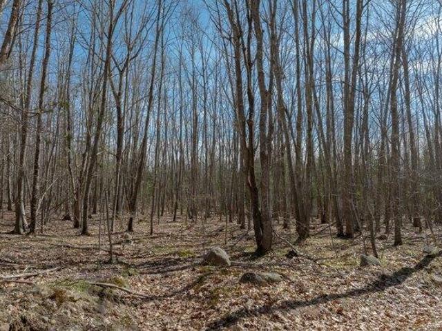 Land for sale in Blue Hill, Maine