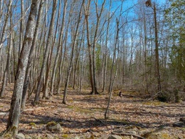 Land for sale in Blue Hill, Maine