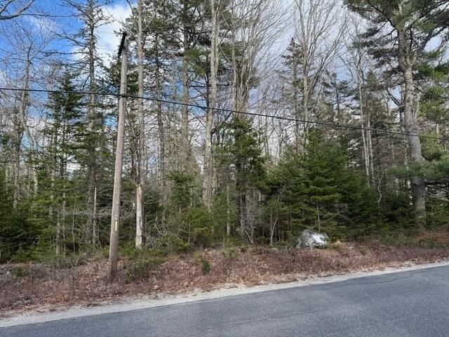 Land for sale in Blue Hill, Maine