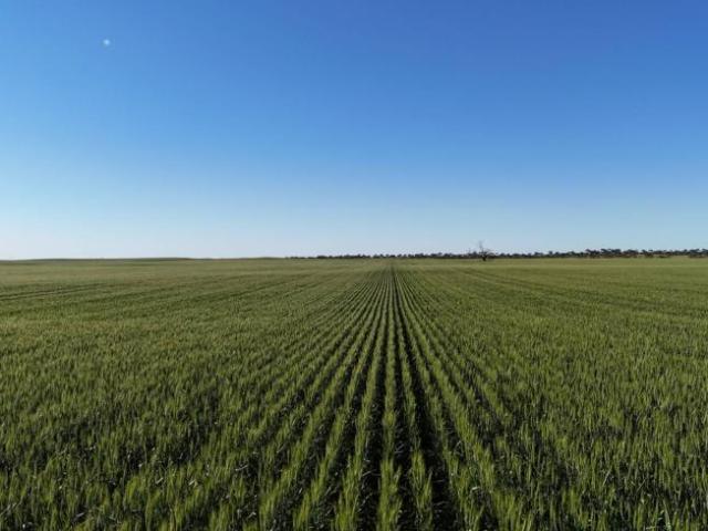 Land for sale in Blyth, Wakefield Regional Council
