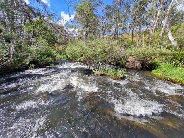 Land for sale in Bonang, Victoria