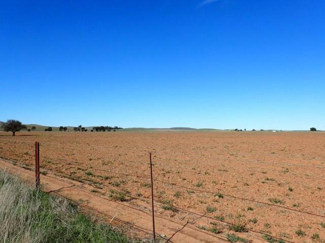 Land for sale in Goyder, South Australia