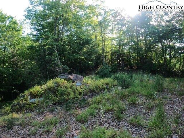 Land for sale in Watauga, North Carolina