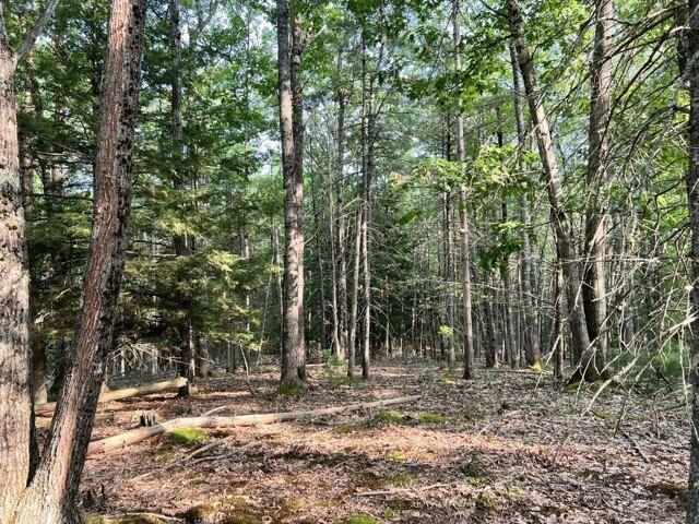Land for sale in Bowdoin, Maine