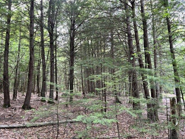 Land for sale in Bowdoinham, Maine