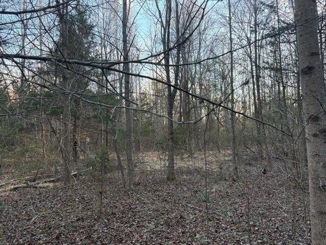 Land for sale in Virginia