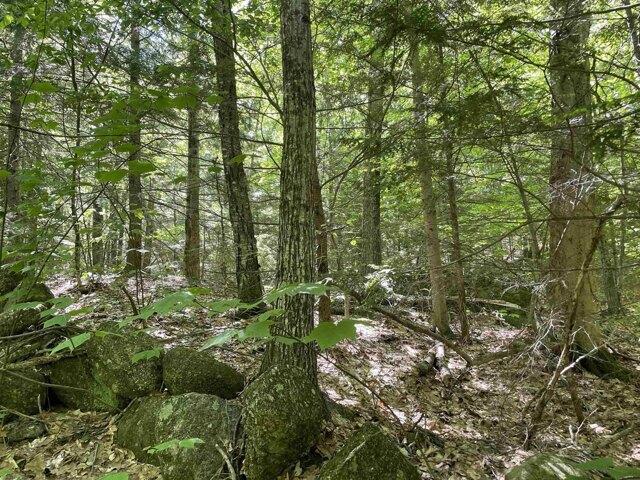 Land for sale in New Hampshire