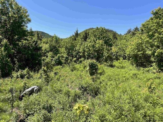 Land for sale in New Hampshire