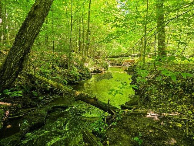 Land for sale in Bradford, Vermont