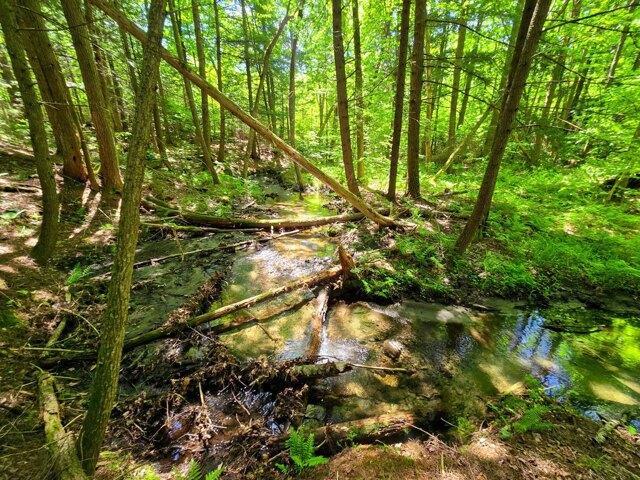 Land for sale in Bradford, Vermont