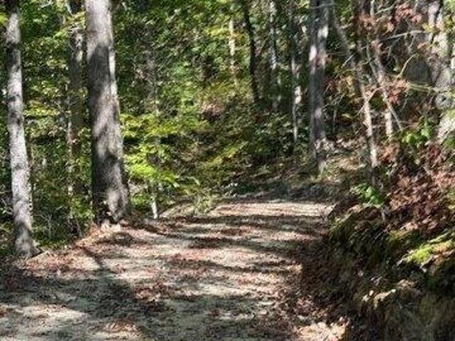 Land for sale in Bradfordsville, Kentucky