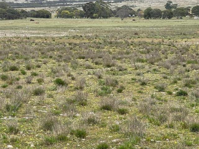 Land for sale in Bramfield, District Council of Elliston