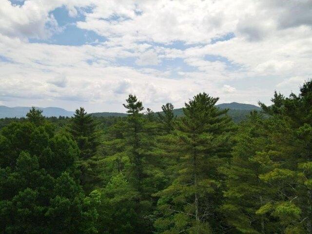 Land for sale in Brandon, Vermont