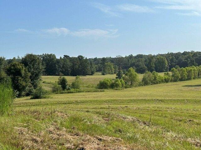 Land for sale in Brantley