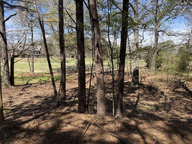 Land for sale in Braselton, Georgia