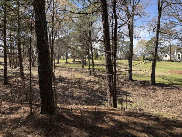 Land for sale in Braselton, Georgia