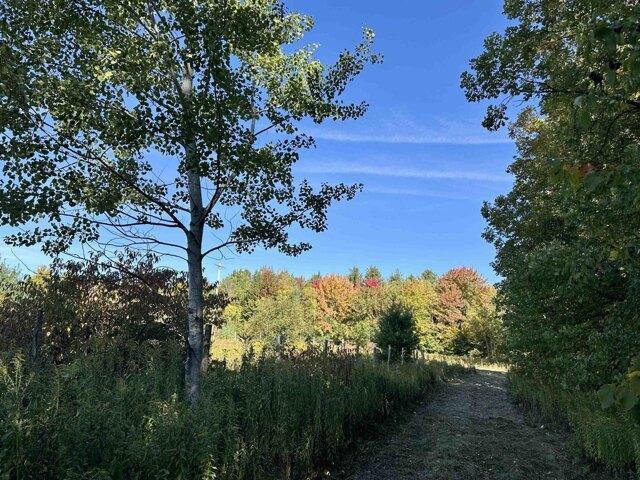 Land for sale in Brasher Falls, New York