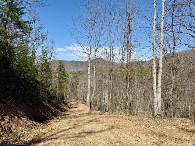 Land for sale in Brasstown, North Carolina