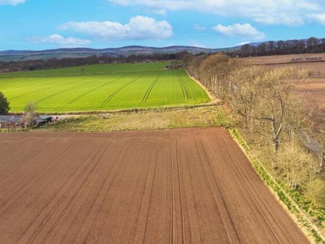 Land for sale in Brechin