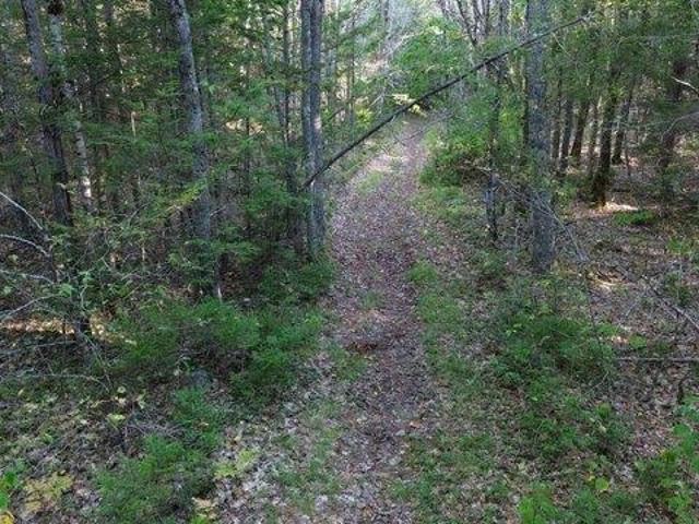 Land for sale in Bremen, Maine