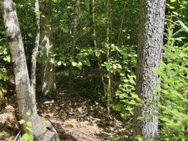 Land for sale in Bremen, Maine