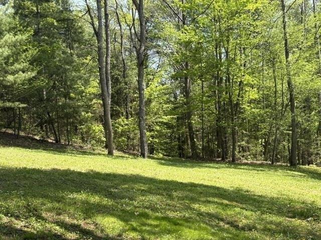 Land for sale in Bridgewater, Vermont