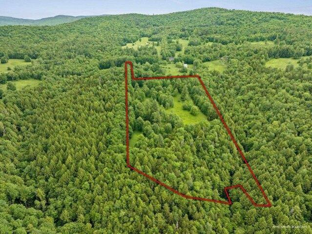 Land for sale in Bridgewater, Vermont