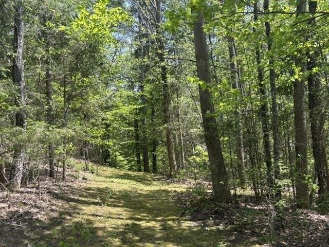 Land for sale in Bridgewater, Vermont
