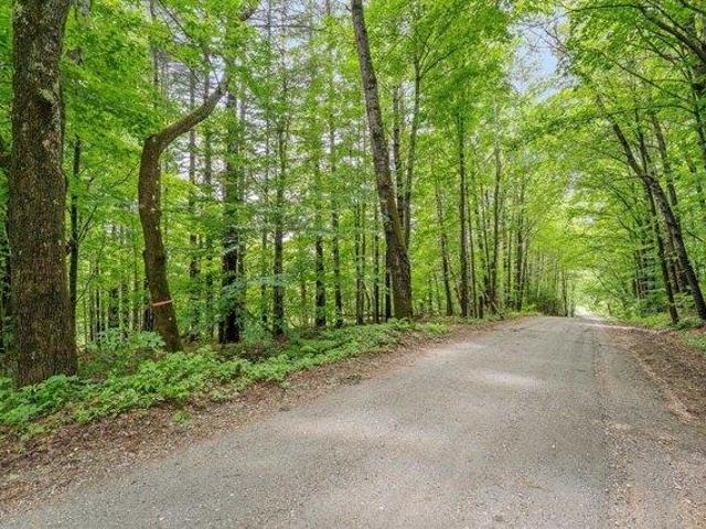 Land for sale in Bridgewater, Vermont