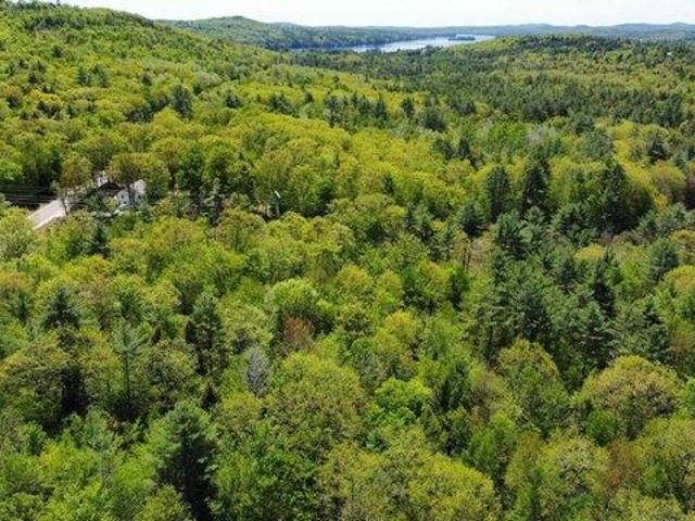 Land for sale in Harrison, Maine
