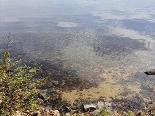 Land for sale in Bridgton, Maine